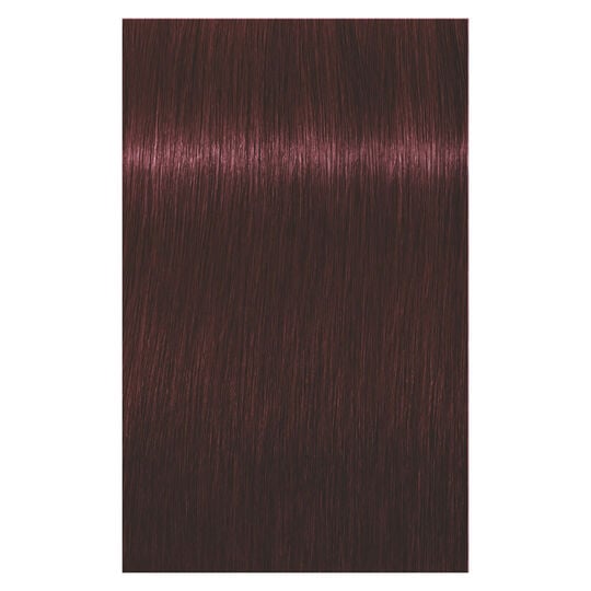 Coloration permanente Igora Royal 4-88 ch&acirc;tain rouge extra
