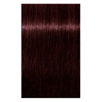 Coloration permanente Igora Royal 5-819 ch&acirc;tain clair nocturne rouge cendr&eacute; violet