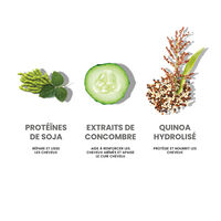 Routine lissante Smooth Me Now