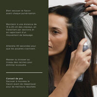 Shampooing sec Perfect Hair Day
