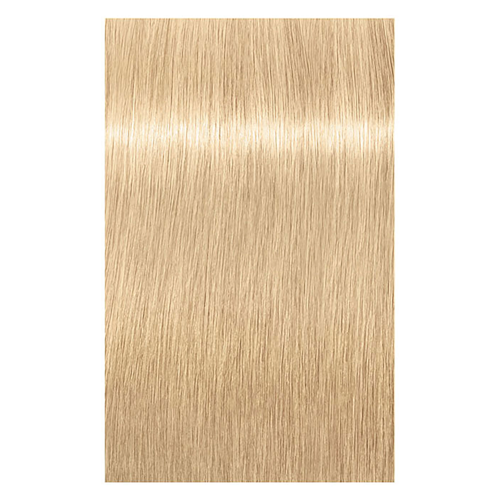 Coloration permanente Igora Royal 12-4 sp&eacute;cial blonde beige