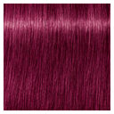 0-89 booster rouge violet
