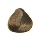 8.34 Blond Clair Doré Cuivré