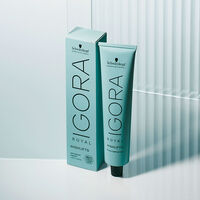 Coloration permanente Igora Royal 12-1 sp&eacute;cial blonde cendr&eacute;