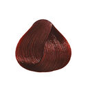 6.66 Blond Fonc&eacute; Rouge Profond
