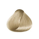 12.01 Sp&eacute;cial Blonde Naturel Cendr&eacute;