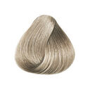 10½.1 Blond clair clair Cendré Pâle