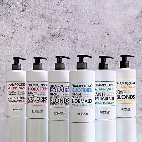 Shampooing &eacute;quilibre racines grasses pointes s&egrave;ches 500ml