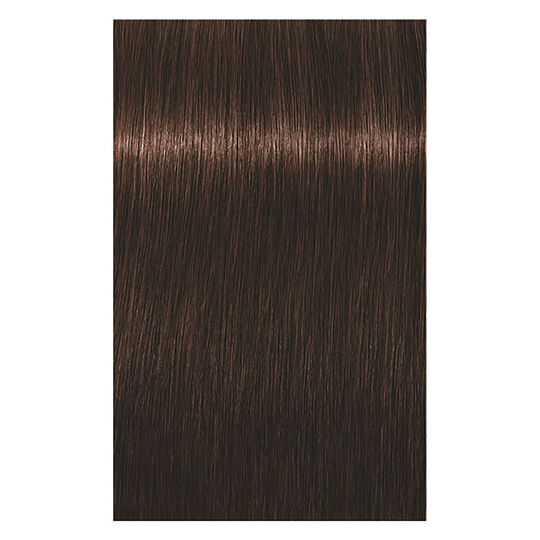 Coloration permanente Igora Royal 4-6 ch&acirc;tain chocolat