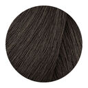 6.1 blond foncé cendré