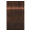 5-7 ch&acirc;tain clair cuivr&eacute;