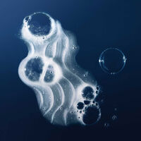 Shampooing lissant No Frizz