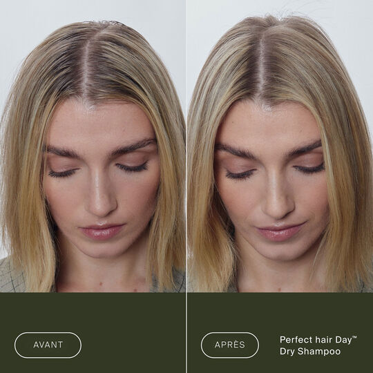 Shampooing sec Perfect Hair Day