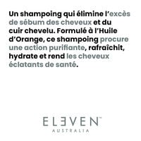 Shampooing purifiant Deep Clean