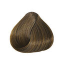 7.3 Blond Dor&eacute;