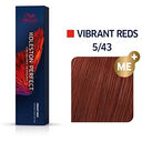 5/43 ch&acirc;tain clair cuivr&eacute; dor&eacute;