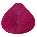 velvet magenta