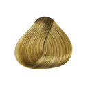 9.3 Blond Tr&egrave;s Clair Dor&eacute;