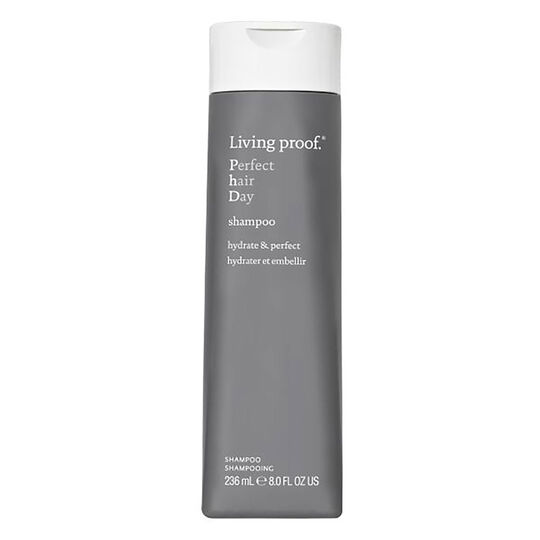 Shampooing Perfect Hair Day