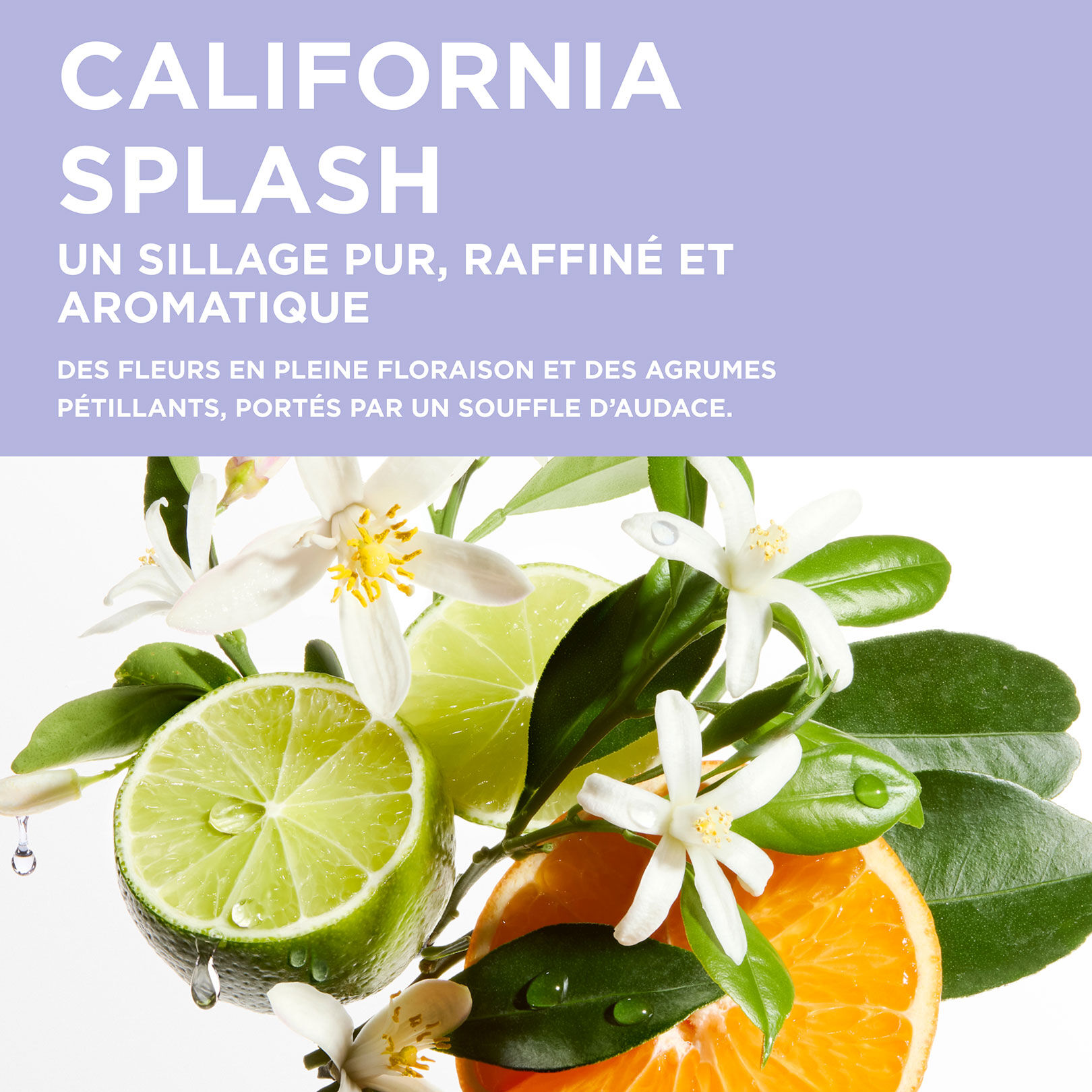 Fondant fortifiant profond Cicaflash Blond Absolu 75ml