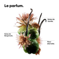 Shampooing réparateur Absolut Repair Molecular 1500ml