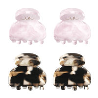 4 Petites pinces Clipstar