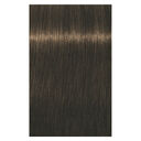 5-63 ch&acirc;tain clair chocolat mat