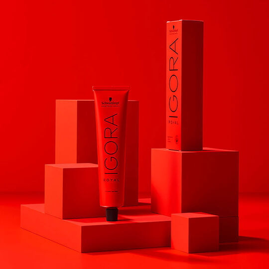 Coloration permanente Igora Royal 4-65 châtain chocolat doré