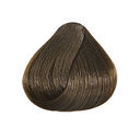 6.3 Blond Fonc&eacute; Dor&eacute;