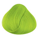 Fluorescent Lime