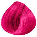 pussycat pink