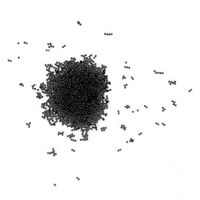 Crystal pixie Swarovski Classy Sassy