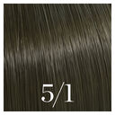 5/1 ch&acirc;tain clair cendr&eacute;