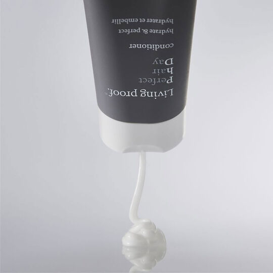 Après-shampooing Perfect Hair Day