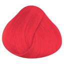 Coral Crush