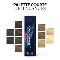 Coloration permanente Color Xpress 6/ blond foncé