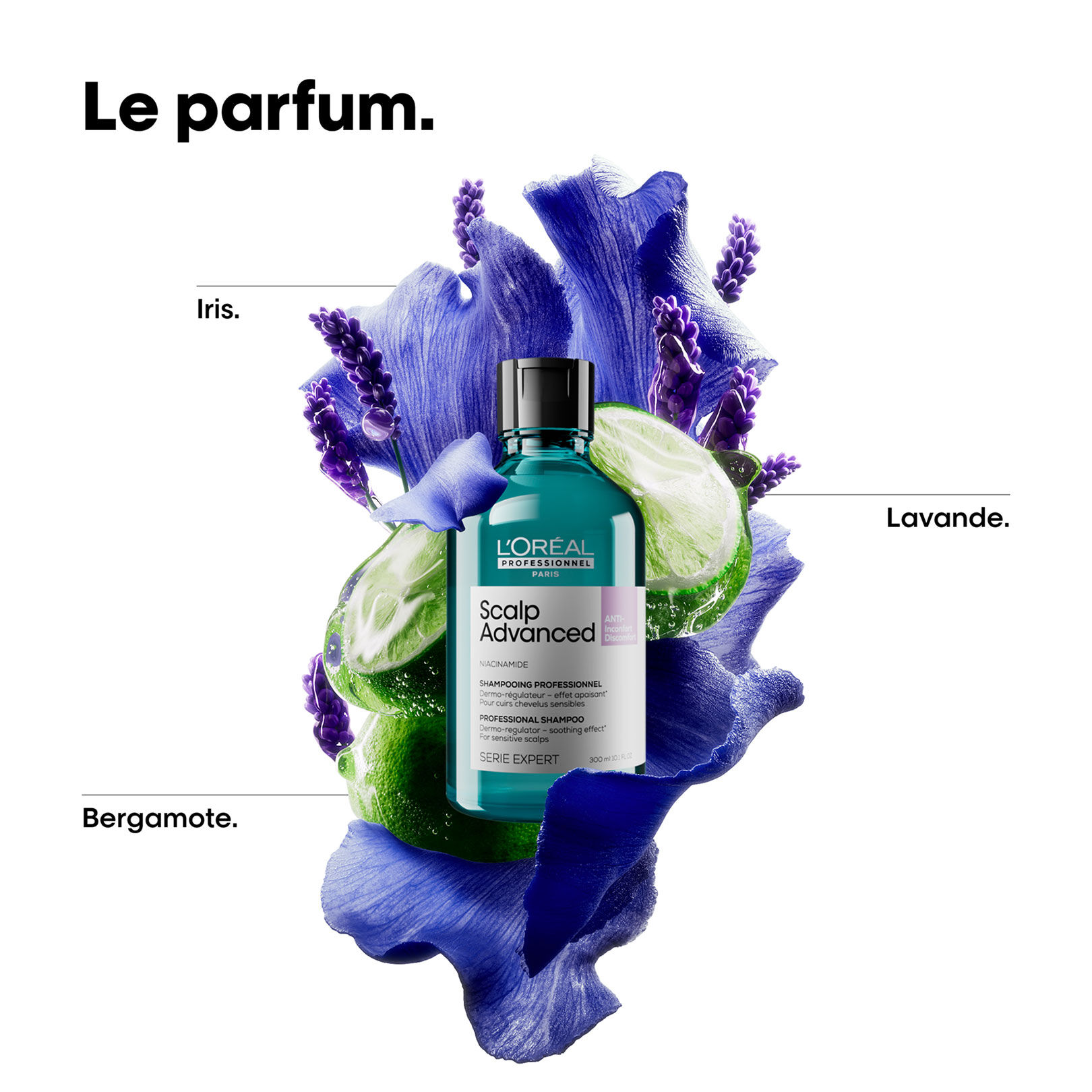 Shampooing dermo-r&eacute;gulateur anti-inconfort Scalp Advanced 500ml