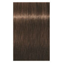 5-65 ch&acirc;tain clair chocolat dor&eacute;