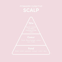 Protocole racines grasses pointes sèches