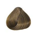 8.3 Blond Clair Doré