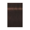 3-68 ch&acirc;tain fonc&eacute; chocolat rouge
