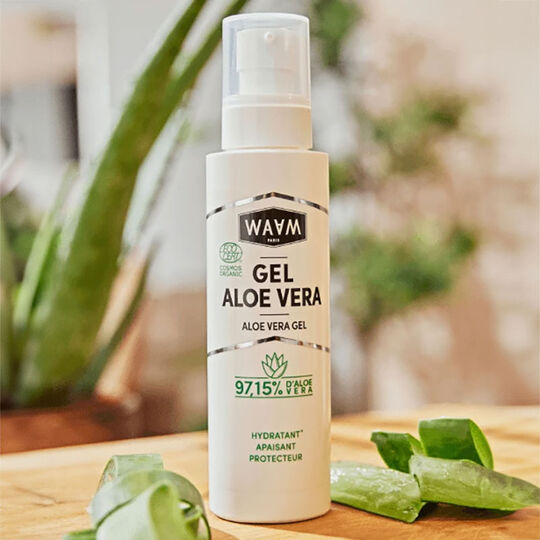 Gel d'aloe vera