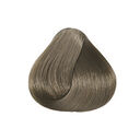 8.1 Blond Clair Cendr&eacute;