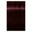 5-819 ch&acirc;tain clair nocturne rouge cendr&eacute; violet