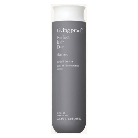 Shampooing Perfect Hair Day