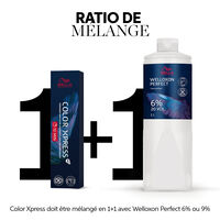 Coloration permanente Color Xpress 6/ blond foncé