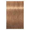 8-65 blond clair chocolat dor&eacute;