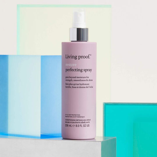 Brume hydratante démêlante Restore