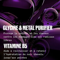 Shampooing Ultimate Color 1000 ml