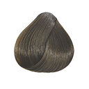 5.3 Châtain Clair Doré